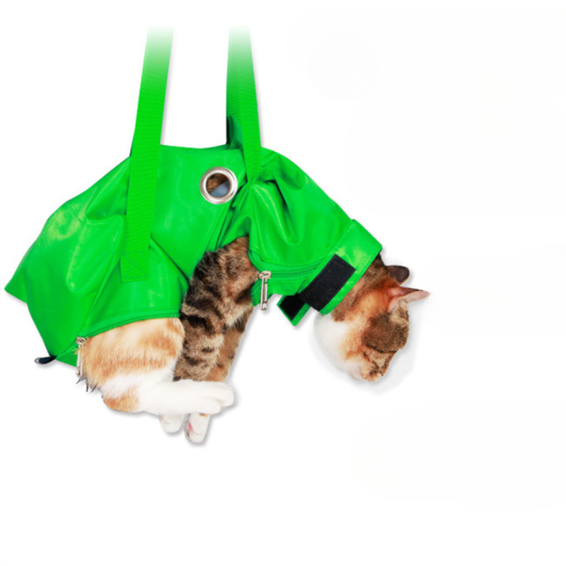 Portable Cat Backpack Pet Summ - Foldable Backpack Small recensie en prijs